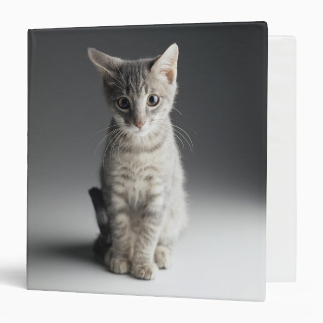 Blue Tabby Kitten 3 Ring Binder (Front/Inside)