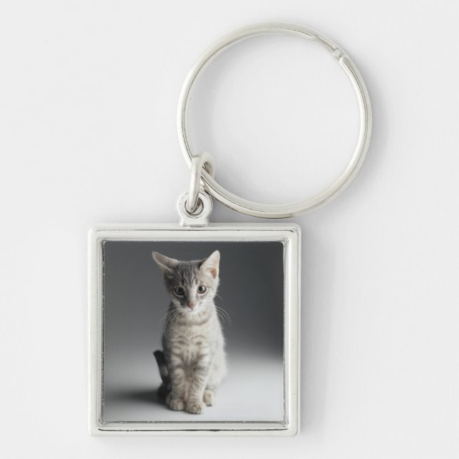 Blue Tabby Kitten Keychain (Front)