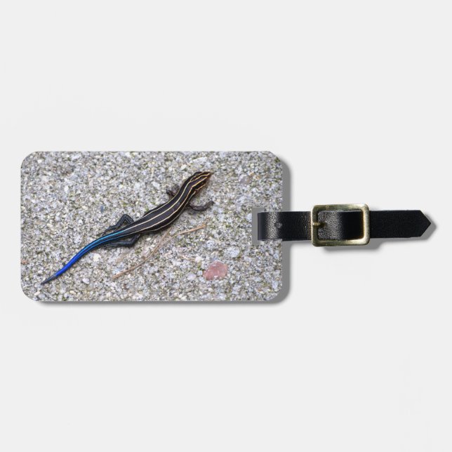 Blue Tailed Skink Luggage Tag (Front Horizontal)