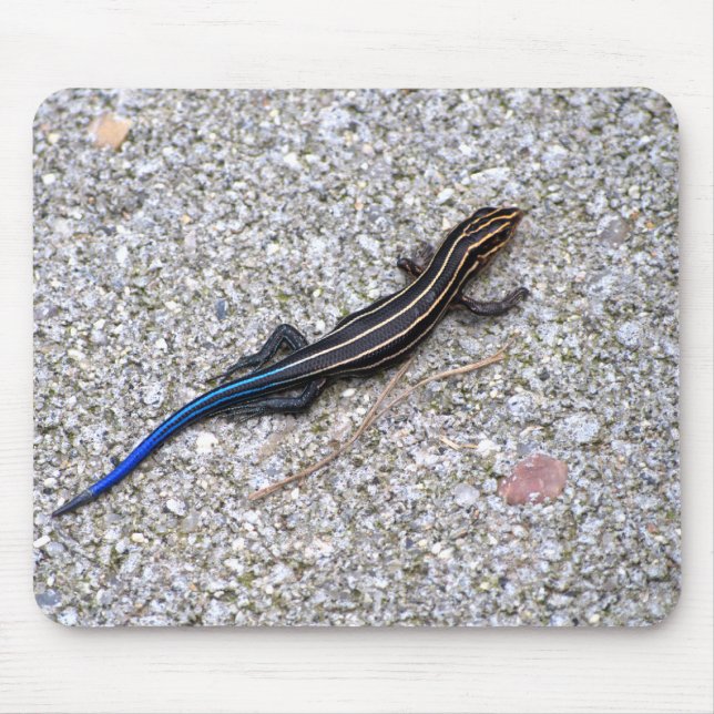 Blue Tailed Skink mousepad (Front)