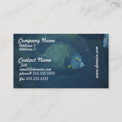 Blue Tang Fish Business Card