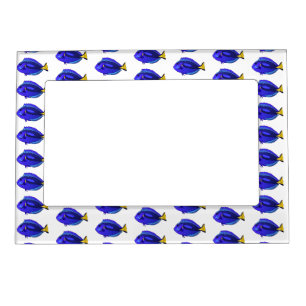 Blue tang fish cartoon illustration magnetic frame