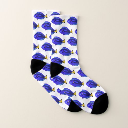 Blue tang fish cartoon illustration  socks