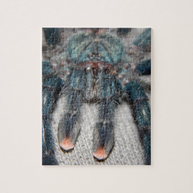 blue tarantula jigsaw puzzle (Vertical)