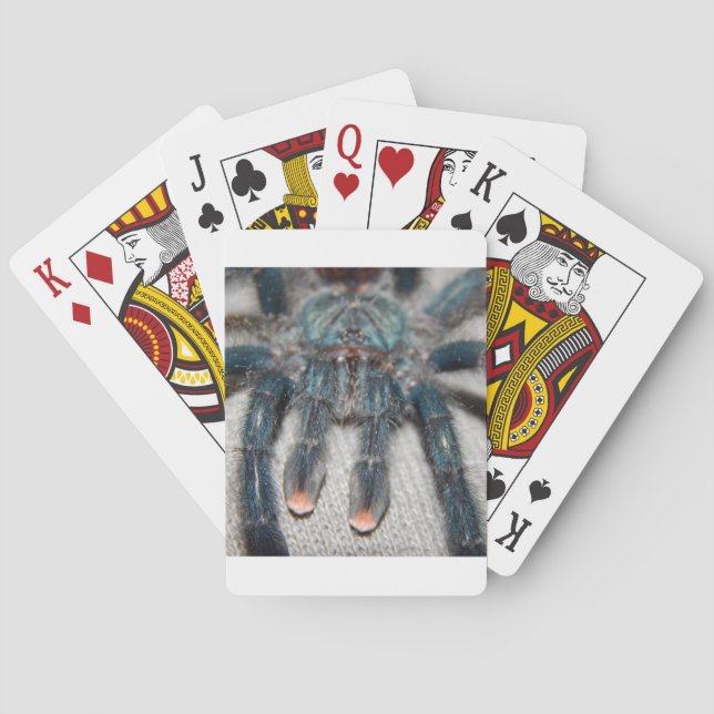 blue tarantula poker cards (Back)