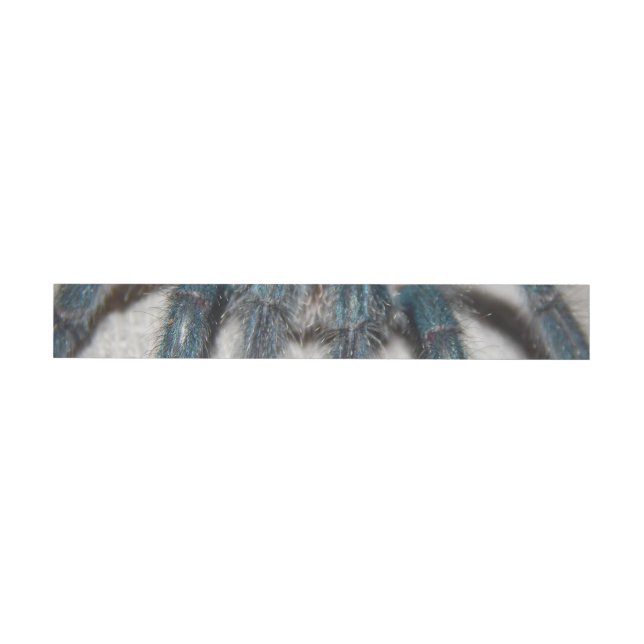 blue tarantula wrap around address label (Individual)