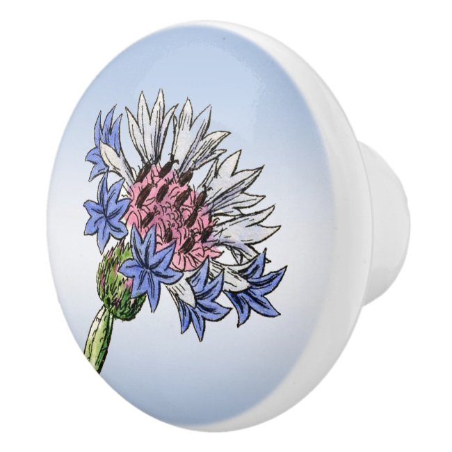 Blue Thistle Flower Ceramic Knob