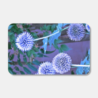 Blue Thistle match box