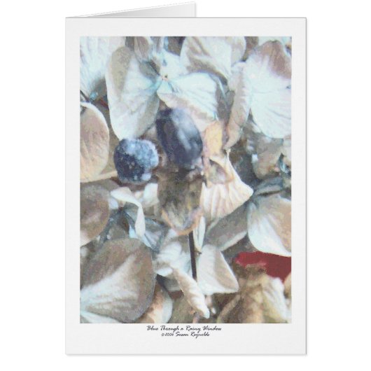 Blue Though a Rainy Window (Front)