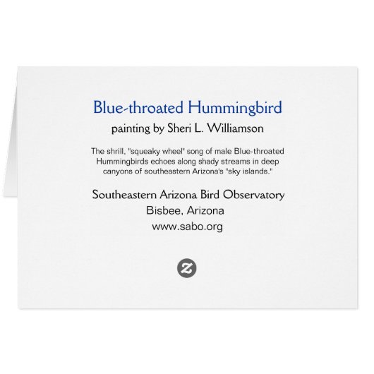 Blue-throated Hummingbird (Back Horizontal)