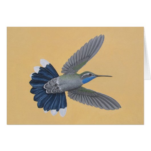 Blue-throated Hummingbird Cards (Front Horizontal)