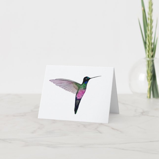 Blue-throated Starfrontlet Hummingbird Card (Front)