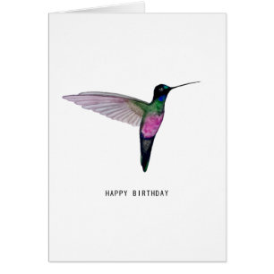 Blue-throated Starfrontlet Hummingbird Cards