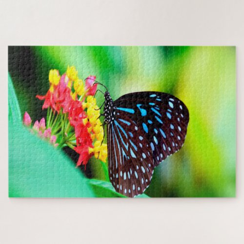 Blue Tiger Tirumala Hamata Butterfly Jigsaw Puzzle