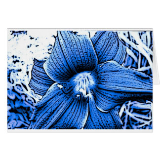 Blue Tigerlilly Cards