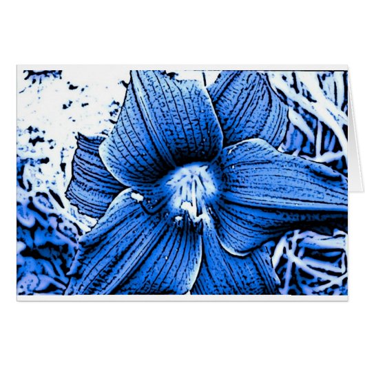 Blue Tigerlilly Cards (Front Horizontal)