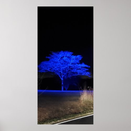 Blue Tinted Tree Poster