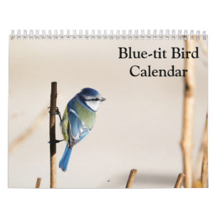 Blue-Tit Bird 2027 calendar