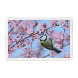 Blue Tit Bird in Pink Japanese Cherry Blossoms   Acrylic Tray