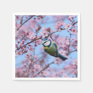 Blue Tit Bird in Pink Japanese Cherry Blossoms   Napkins
