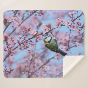 Blue Tit Bird in Pink Japanese Cherry Blossoms Sherpa Blanket
