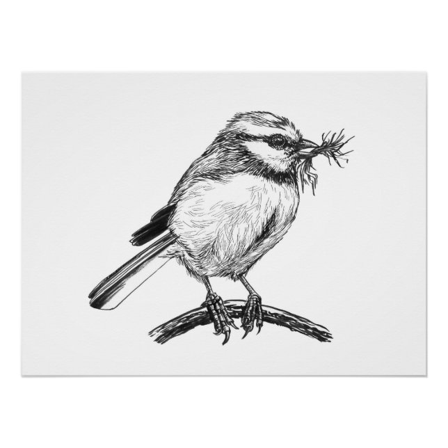 Blue tit bird ink drawing poster (Front)
