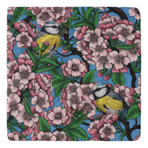 Blue tit birds in the blooming cherry tree on blue trivet