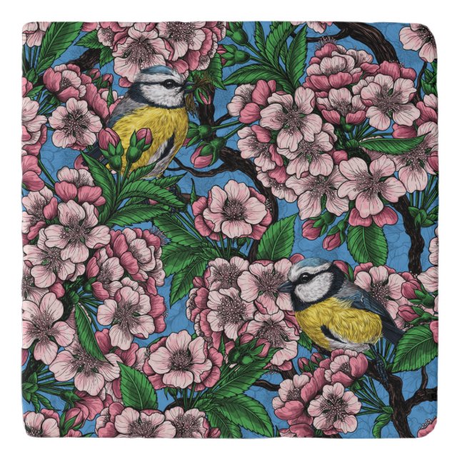 Blue tit birds in the blooming cherry tree on blue trivet (Front)