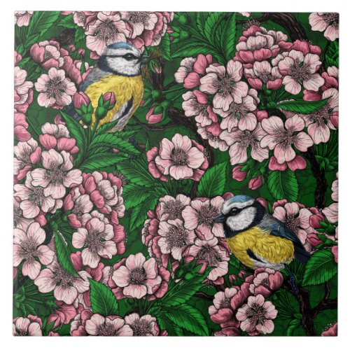 Blue tit birds in the blooming cherry tree on gree ceramic tile
