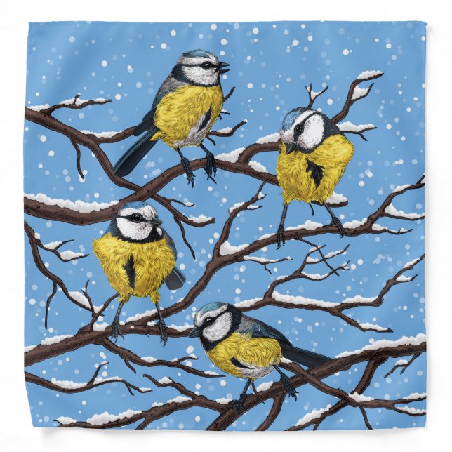 Blue tit birds in winter bandana (Front)