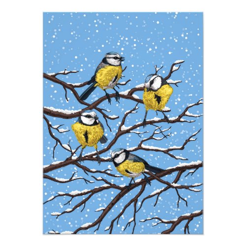 Blue tit birds in winter photo print