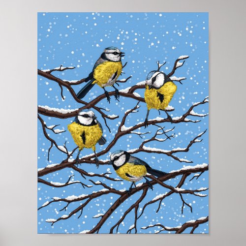 Blue tit birds in winter poster