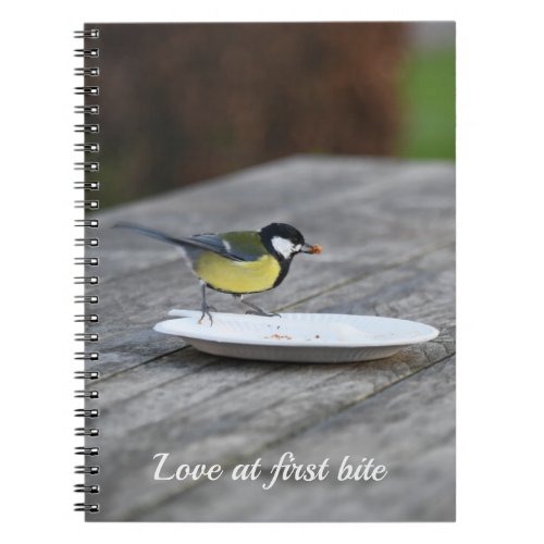 Blue Tit Feeding on Cake Plate Love at First Bite Notebook