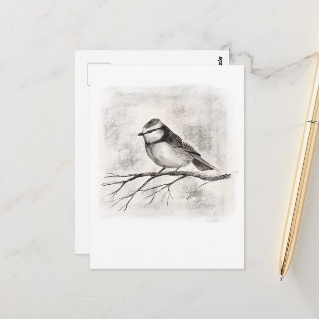 Blue tit postcard (Front/Back In Situ)