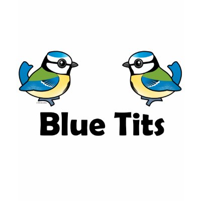 blue_tits_tshirt-p235420366868158338z8nxm_400.jpg