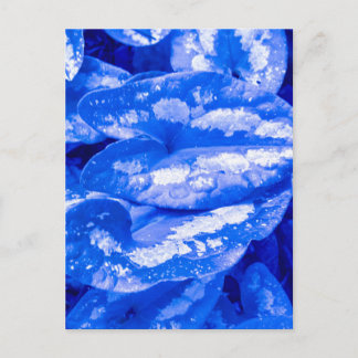 Blue Toned Leaves Artistic Close Up Postcard