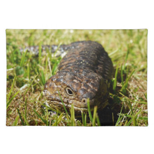 Blue Tongue Lizard Creeping In The Grass, Placemat