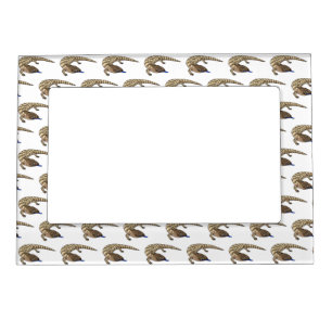 Blue tongue lizard reptile cartoon magnetic frame