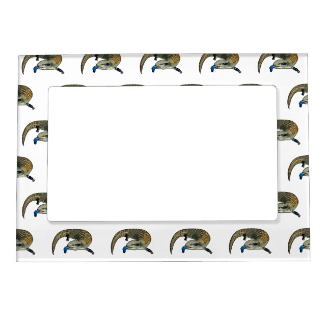 Blue-tongued skink cartoon illustration magnetic frame (Front)