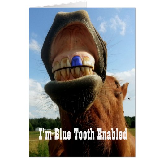 Blue Tooth Enabled Horse Cards (Front)