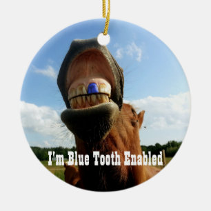 Blue Tooth Enabled Horse Ceramic Ornament