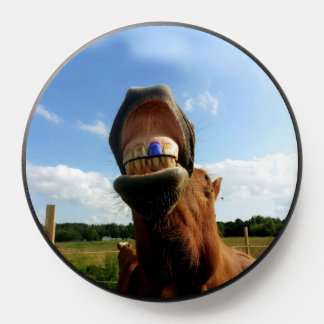 Blue Tooth Enabled Horse PopSocket