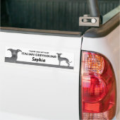 Blue - Traveling With My Italian Greyhound Dog Bumper Sticker (On Truck)