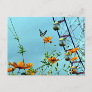 Blue Triangle Butterfly & Cosmos Flowers: Japan Postcard
