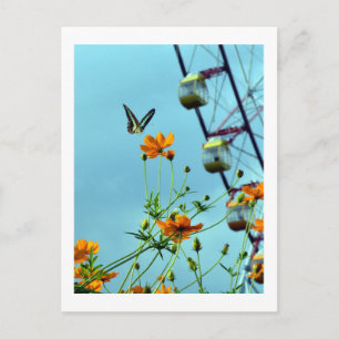 Blue Triangle Butterfly & Cosmos Flowers: Japan Postcard