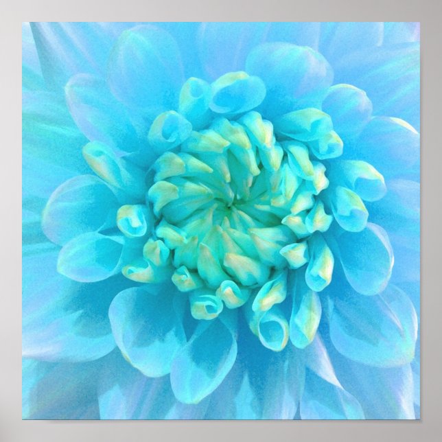 Blue Turquoise Flower in Watercolor Poster (Front)