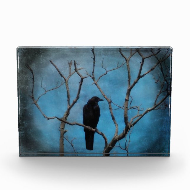 Blue Twilight Crow Photo Block (Front)