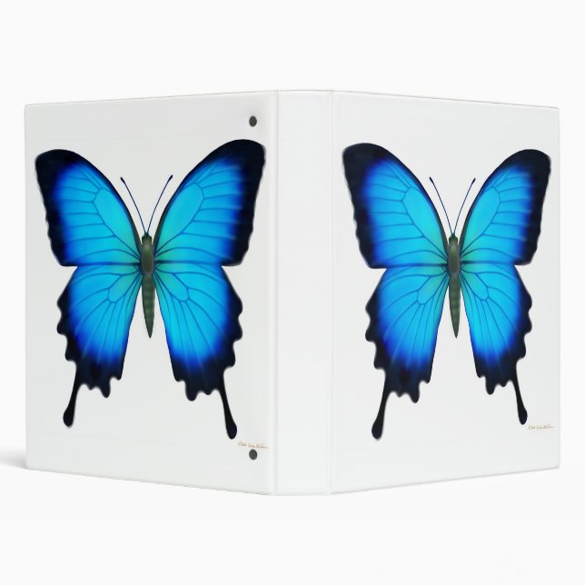 Blue Ulysses Butterfly Avery Binder (Background)