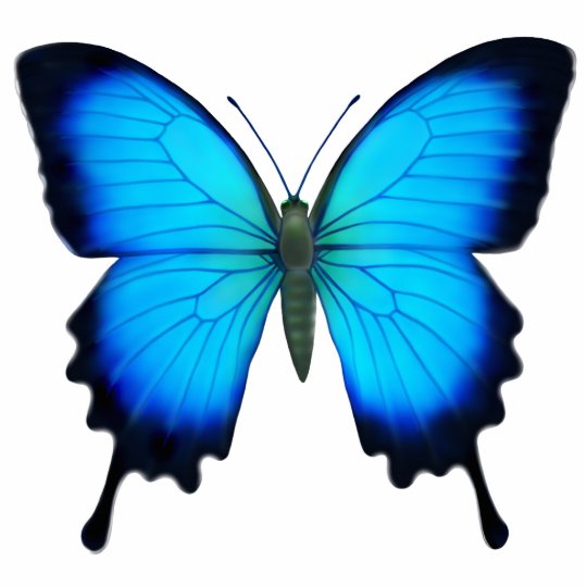 Blue Ulysses Butterfly Pin Cutout | Zazzle.com