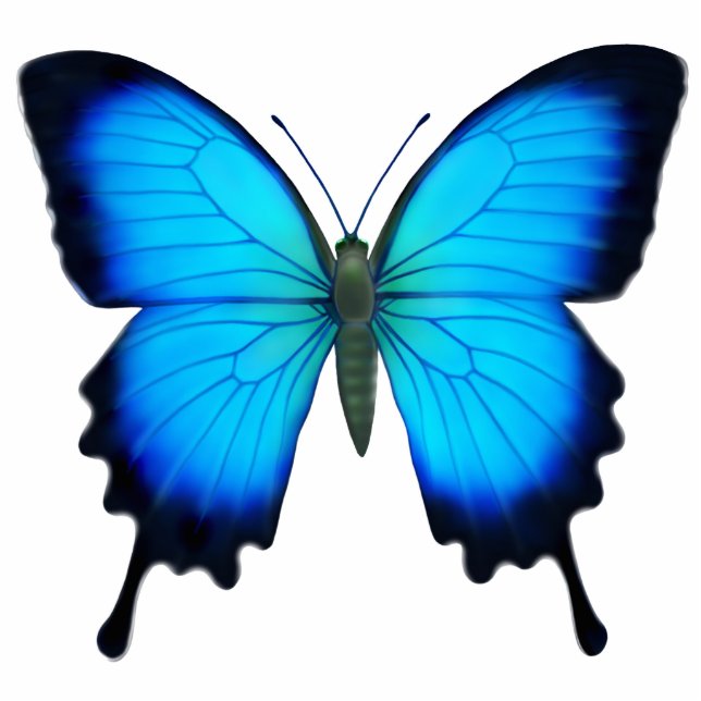 Blue Ulysses Butterfly Pin Cutout (Front)